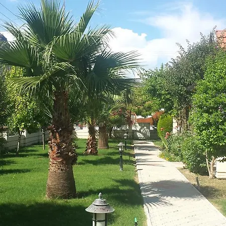 Kiydan Dalyan
