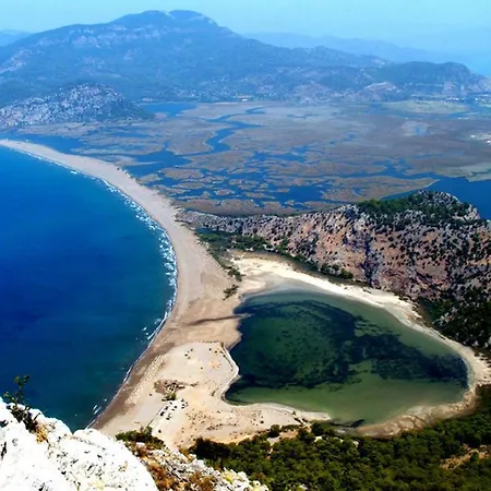 Kiydan Dalyan