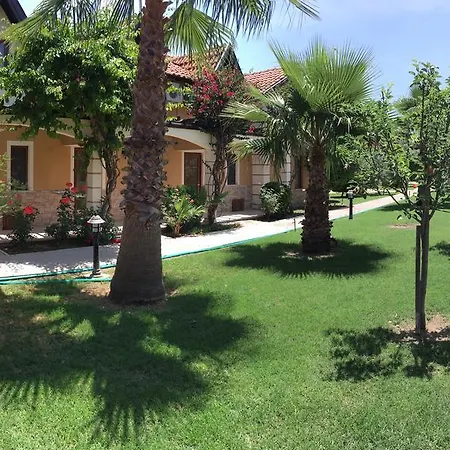 Kiydan * Dalyan
